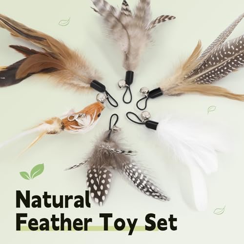SONGWAY Interactive Cat Feather Toys - Cat Wand Toy Set with Retractable Teaser Wand and 6 PCS Natural Feather Refills, Da Bird Cat Toys for Indoor Cats Kittens