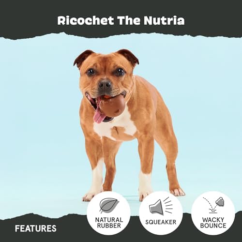 BarkBox Ricochet The Nutria Dog Toy