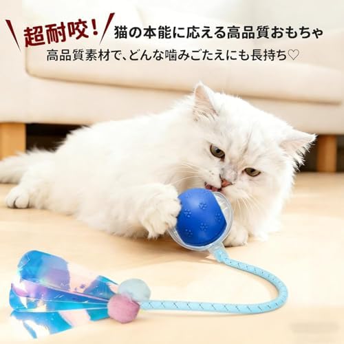 Rocfish Durable Interactive Cat Toys for Indoor Cats (blue03, 03)