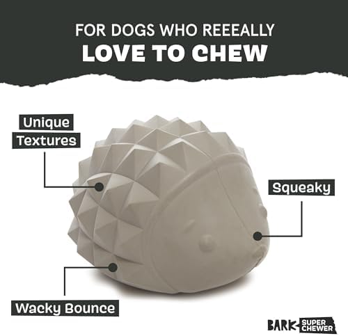 BarkBox Sven the Hedgie Rubber Dog Toy - Toy for Small Dogs