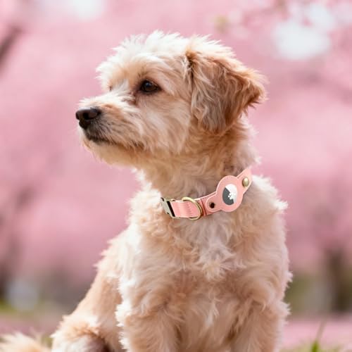 Airtag Dog Collar,PU Leather Collar with Airtag Holder for Small Dogs(Pink)