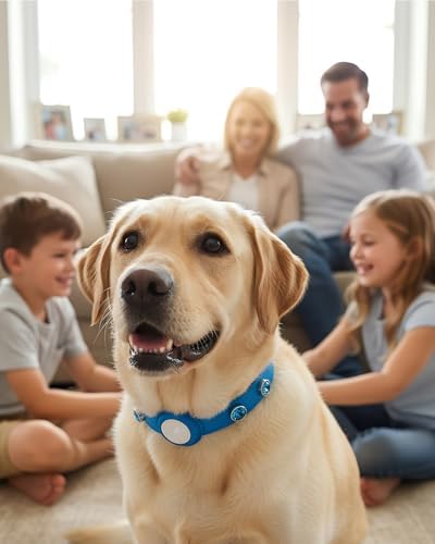 Upgraded AirTag Dog & Cat Collar - Adjustable Diamond-Studded Leather Dog Collar with Quick-Release Buckle | Luxurious Jewelry Accessory for Small, Medium, and Large Dogs & Cats (XL (16"-22"))