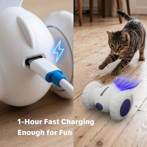 Interactive Cat Toys, Puppy Dog Toys