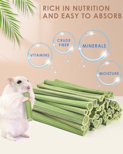 Bissap 50PCS Rabbit Chew Sticks, Natural Papaya Stems Bunny Chews Treats for Rabbits Hamsters Chinchillas Guinea Pigs Small Animals Organic Molar Chewing Snack
