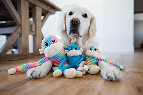 ZippyPaws Crinkle Monkey - Rainbow & Blue 2-Pack, Small