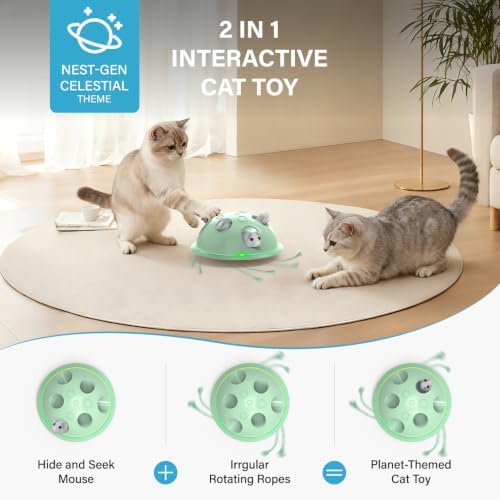 Pawingcat Cat Toys for Bored Indoor Cats Interactive String and Mouse
