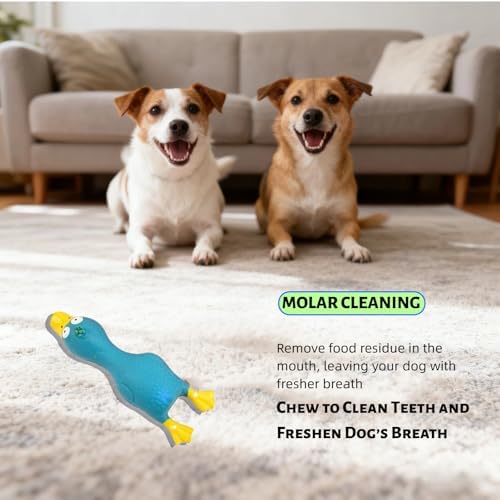 6.7" Squeaky Latex Dog Toy gripping, Cute Little Chicken Rubber Toy for Chewing and Grinding Teeth Interactive Play for Small Medium Dogs -(1Pcs Blue)