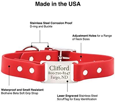 dogIDs Personalized Dog Collar – ScruffTag Custom Waterproof Biothane Dog Collar with Laser-Engraved Name, Durable & Odor-Resistant – USA Made | Margarita, 1 in x 18 in (Fits Neck Sizes 16-20 in)