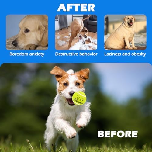EXPAWLORER Squeaky Tennis Balls for Dogs-12 Pack High Elastic Dog Toy Balls