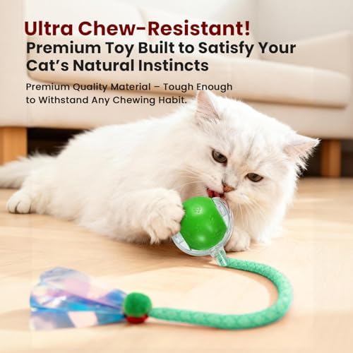 Rocfish Durable Interactive Cat Toys for Indoor Cats (Green, 03)