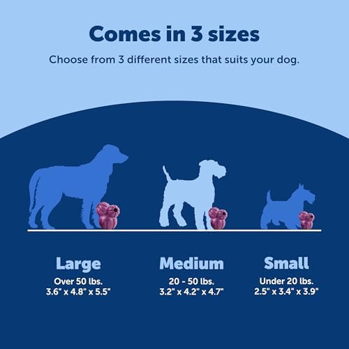 PetSafe Busy Buddy Barnacle Treat Dispensing Dog Toy, Medium | 3 Treat Meter Prongs Randomly Dispense Kibble, Bone-Shaped Grooves Hold Spreadable Treats Like Peanut Butter