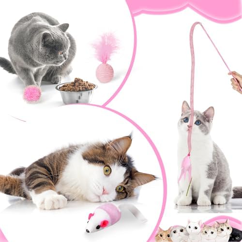 Foilswirl 24 Pcs Cat Toys Set Interactive Kitten Toys Pack, Pink