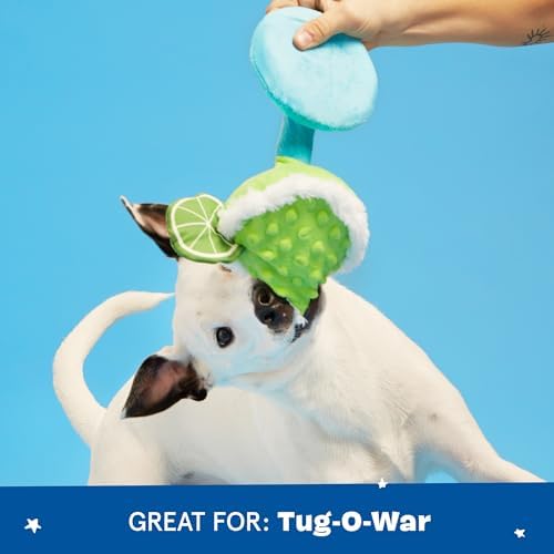 BarkBox Fiesta Party Bundle Interactive Plush Dog Toy Set