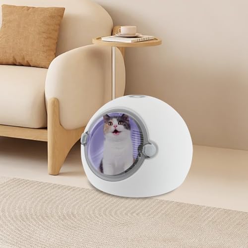 Pet Dryer Box, Fans Blower, Electric Hair Dryer for Small Dogs and Cats, Safety Door Lock, LCD Control Panel, with Smart Temperature Control, for Pet Shops, Households, Pet Relief Stations