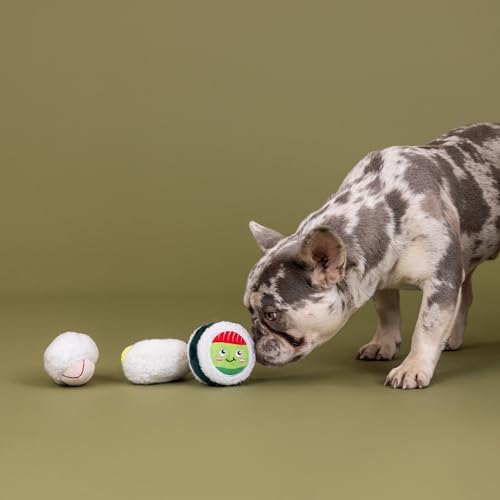 Fringe Studio Plush Dog Toy, 3 Pieces Set, Rice to Meet You, Pet Shop Collection (662178)
