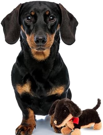 Fuzzl Eco Leather Natural and Tough Dog Toys - Long Lasting Chew Toys for Aggressive Chewers - Strong Dog Toy for Dogs and Puppy