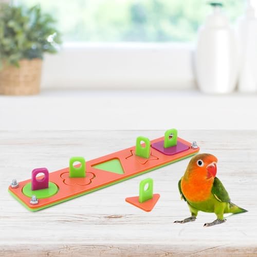 Hypeety Bird Intelligence Training Toys Parrot Learning Block Puzzles