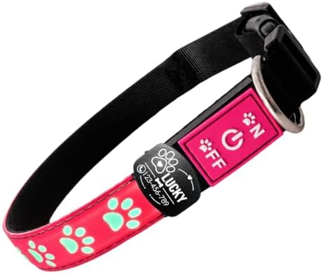 Personalized Light Up Dog Collar with Laser Engraved ID Tag