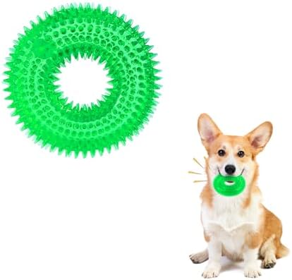 Andiker Squeaky Dog Toy, Safe TPR Chewable Dog Toys for Teeth Grinding&Cleaning Dog Fetch Toys for Enhancing Interactivity Outdoor Suitable for All Dog Sizes Puppy’s and Dogs (Small Green)