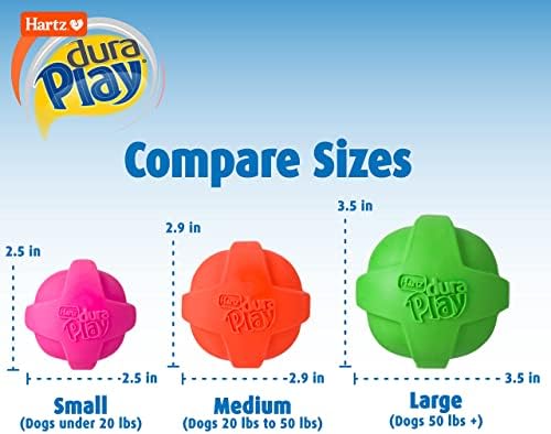Hartz DuraPlay Ball Squeaky Latex Dog Toy, Neon Green, Pink & Neon Orange, Large 3 Count (Pack of 12)