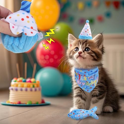 BINGPET Cat Birthday Decorations Outfit, 5 Pcs Catnip Toys for Indoor Cats