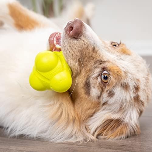 Hyper Pet Fetching Dog Toys - Throwing Bumpy Ball Dog Toy Made with EVA Foam - Lightweight & Floats on Water
