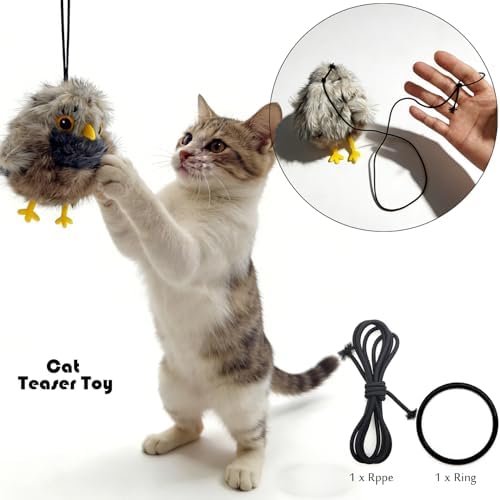 Tipmant Realistic Electric Birds Cat Teaser Interactive Toy Kitten Kitty Exercise, Touch Activated, Rechargeable, Chirp, Flap Wings with Catnip (Grey Cuckoo)