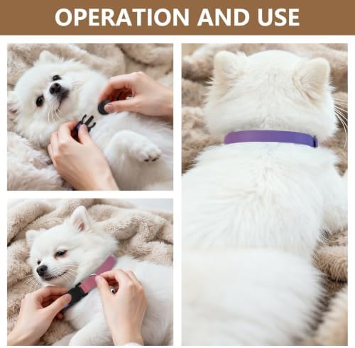 2 Pack Small Dog Collar Red Blue Gradient Kitten Collar with Bell, Adjustable 10.6 to 17.1 Inches