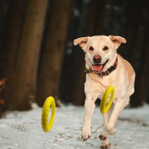 Dog Flying Disc,Floating Dog Ring Toys, Indestructible Dog Chew Toys for Small Chewers Dog Toys for Pool,Float Durable Outdoor &Indoor Puppy Toy for Throwing,Catching,Swimming,Training