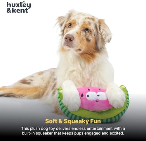 Huxley & Kent Fetchies Plush Dog Toy, Walter Melon, Large