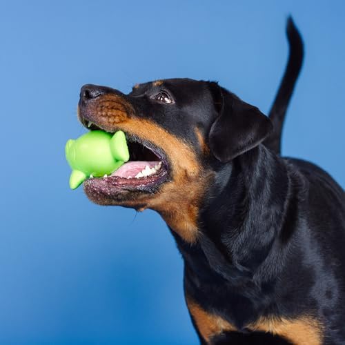 Fringe Studio Catch YA Later Lime Rubber Dog Toy, Pet Shop Collection (518048)