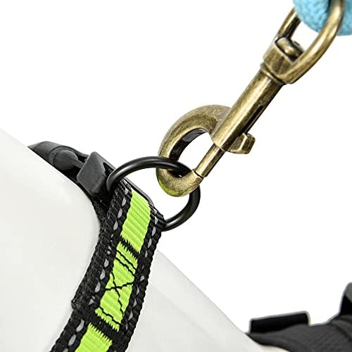 Mile High Life Reflective Dog Collar, Adjustable Lightweight Quick Release