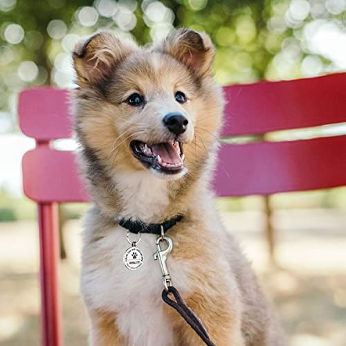QR Code Dog Tag -On Pet ID Name Tag for Dogs, Cats & Horses – Custom Personalized Noiseless Tag with Jingle-Free Fit & Online Profile Display