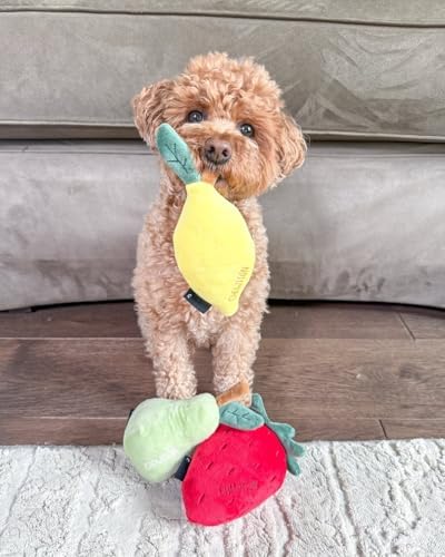 CHEWFFON Squeaky Plush Dog Toy, 3-Piece Fruit Set