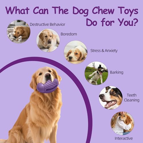 Natural Rubber Squeaky Dog Chew Toy for Aggressive Chewers