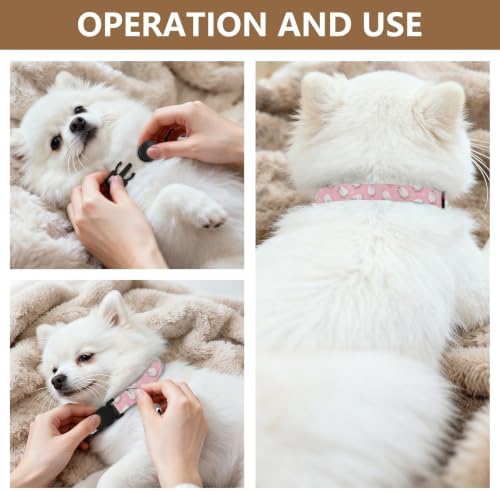 White Llamas Unicorns Easy to Clean Small Dog Collar 2 Pack Soft Cat Collar
