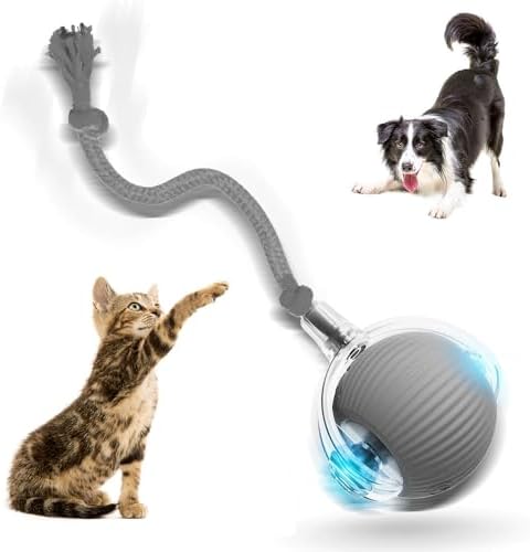 Jiexily Interactive Cat Toys Balls for Indoor Cats, 2025 New Motion Activated Cat Balls with 360° Smart Automatic Rolling Moving for Bored Kitten Pet Cats Dogs (Gray)
