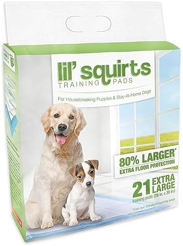 Lil' Squirts Extra Large Training Pads for Housebreaking Puppies, 21 Count | 12-Hour Protection, 6-Ply Construction, Absorbent Core, Leak-Proof Performance, Bleach & Dye Free, Odor Control Training Pads