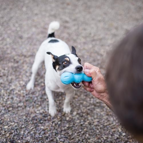WEST PAW Zogoflex Rumpus Dog Chew Toy – Floatable Toy for Dogs, Aggressive Chewers – Puppy Chewing Toys for Catch, Fetch – Recyclable, Dishwasher-Safe, Small 5.25", Aqua Blue