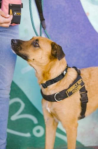 OllyDog Flagstaff Collar, Adjustable Soft Puppy Collars with Quick Release Buckle, Ideal Dog Collar for Everyday Use and Adventures (Medium, Dream Camo)