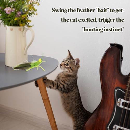 Ptwola Cat Feather Toys Refills 3 Pack Insects Grasshopper Cat Toy Wand Fun Replacement Feathers Small Cats Interactive Toys Hanging Toy Attachments for Indoor Kittens Cats Teaser Wand Accessory