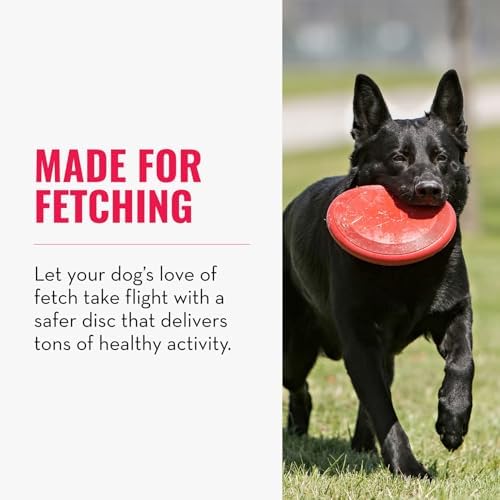 KONG Flyer, Natural Rubber Flying Disc Fetch Toy, for Medium/Large Dogs