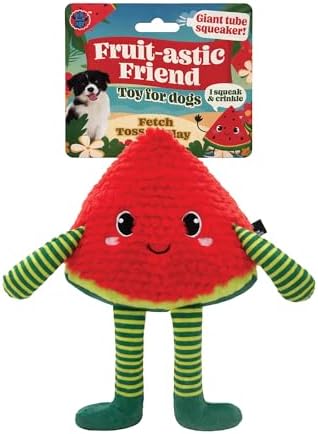 Bow Wow Pet Squeaky Plush Dog Toy with Crinkle, Soft Durable Stuffed Dog Toy for Small & Medium Dogs, Interactive Fetch, Tug & Chew Toy, Engaging Pet Toy for Play, Enrichment & Comfort