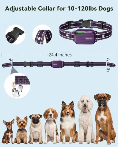Shock Collar for Dogs - 4200FT Dog Training Collar with Remote-IPX8 Waterproof Reciver with 4 Modes, Rechargeable E-Collar for Small Medium Large Dogs (10-120lbs),Purpel