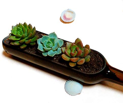 Wine Bottle vase not Included Hanger, only Bottle, Add Your Like Flowers, Plant(5PCS Coffee)