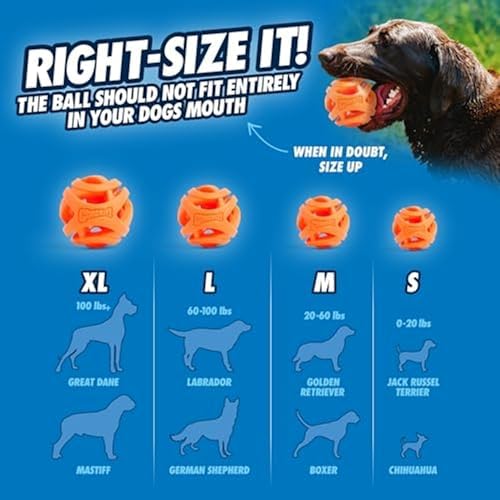 Chuckit! Air Fetch Ball Dog Toy, Medium 2.5in, 2 Pack