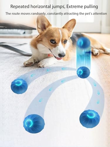 Winb Interactive LED Dog Ball （2 inch）- USB Rechargeable Motion-Activated Rolling Toy for Small Dogs, Dogs Ball Play and Wicked Fun