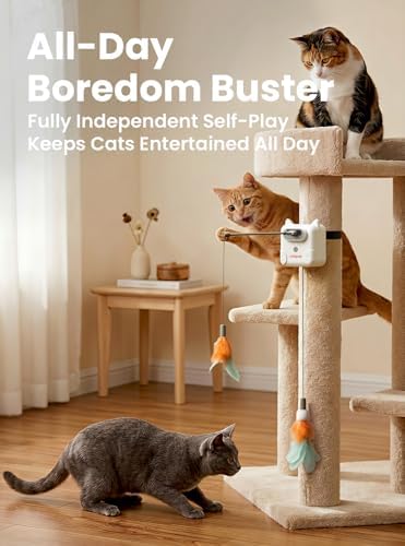 Automatic Interactive Cat Feather Toys for Indoor Cats