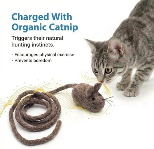 Glaciart One Felt Mouse Cat Toy – Soft Fuzzy Enrichment 100% Natural Wool - Interactive Catnip Play Cat Toy Set - Safe for Pets, Non-AZO Colored Dyes - 100” Long
