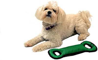 Pets First NFL Washington Commanders Football Field Dog Toy with Double Rim Stitching & Inner Squeaker, Team Color (WAC-3030)
